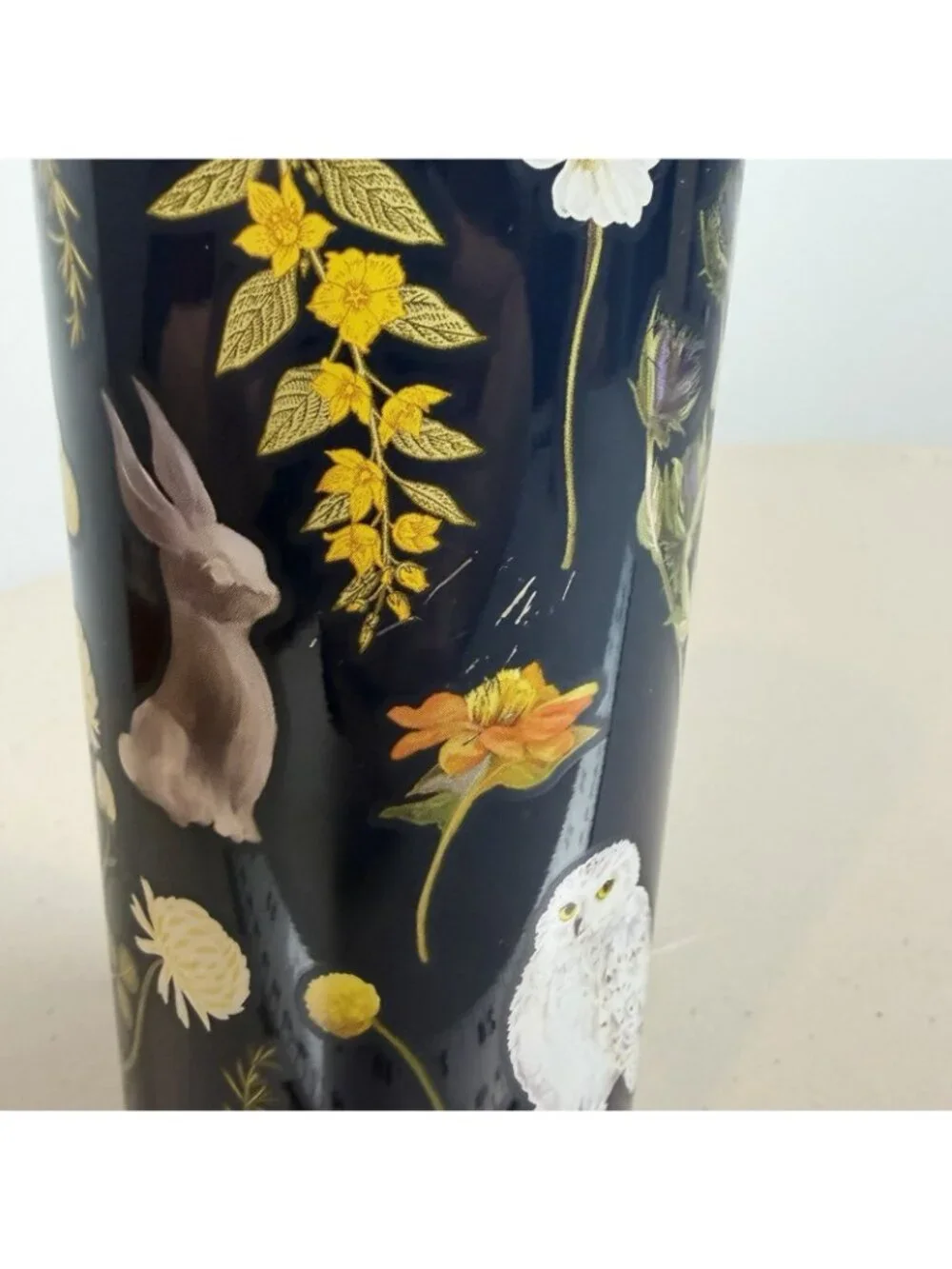 Pottery Barn Teen Harry Potter Herbology Insulated Water Bottle Used